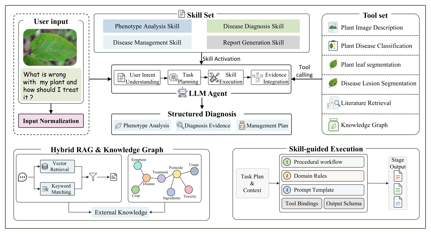 Overall architecture of AgriSkill-Agent